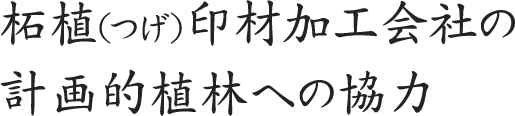 柘植（つげ）印材加工会社の計画的植林への協力